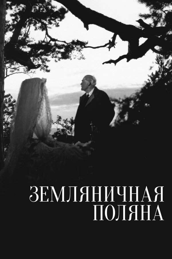 Земляничная поляна